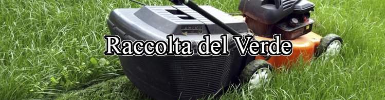 Raccolta del verde