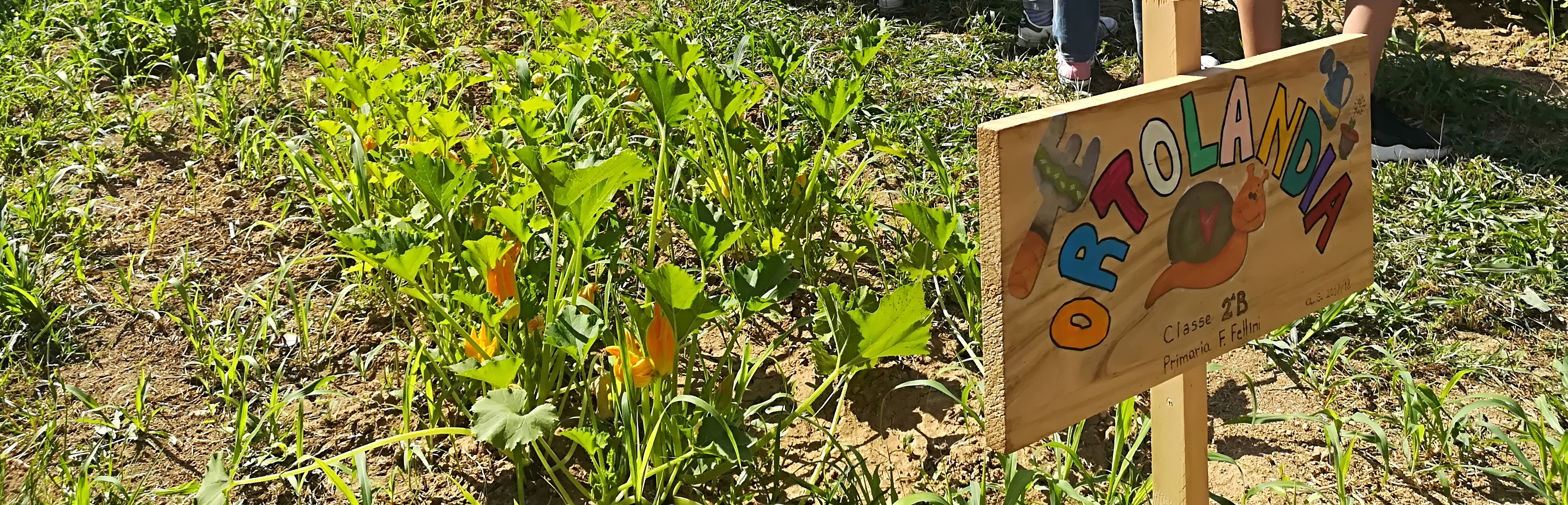 Orti sociali urbani, due incontri a maggio